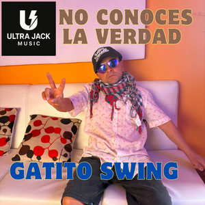 No Conoces la Verdad by GATITO SWING