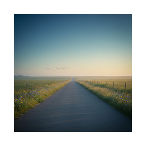 I’m Making A Home - Acoustic by Orián Veld