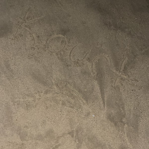 In The Sand by 1600luhe