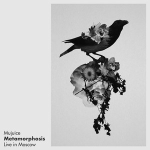 Metamorphosis (Live in Moscow) cover art