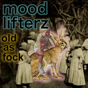 This Is Bullshit - song and lyrics by The Mood Lifterz | Spotify
