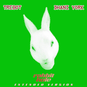 Rabbit hole (Extended Version) by Dhani York, TREBOT