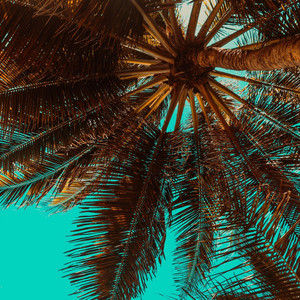 Island Pulse by YachtFlowHouse