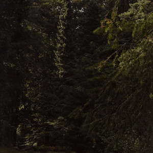 Greenfall by Casiio, marsquake