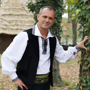 Bebe Dragomir - Zice lumea că-s bătrân