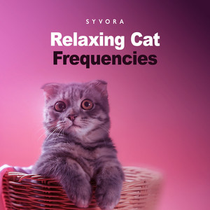 Kitty Tabbies by Syvora