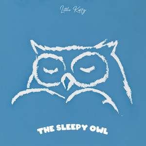 The Sleepy Owl by Little Kaffy