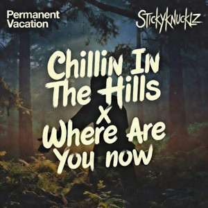 Stickyknucklz — Chillin In The Hills x Where Are You Now (Mashup) (2026)