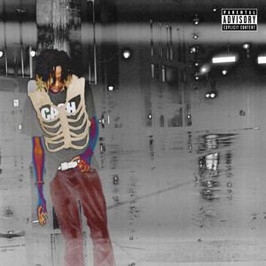 Poppyseeds by sylenthell