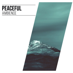 # 1 Album: Peaceful Ambience album
