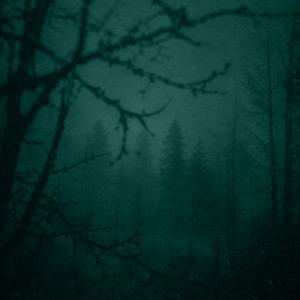 the morning felt colder by empty signal