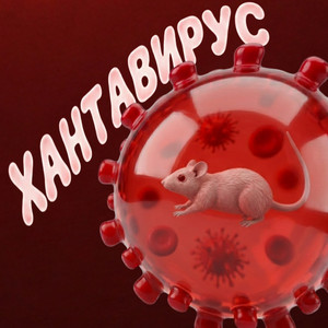 ХАНТАВИРУС by ReOStu, DJ DANYLKO, DJ MIHUYCHIK, Rob0miS