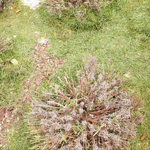 Zfront - Deep Inside