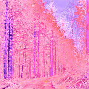 DJ Zenta - Por Qué Dicen