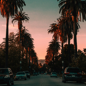 Member Nights by yung namz