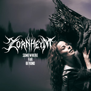 Somewhere Far Beyond - Single by Zornheym | Spotify