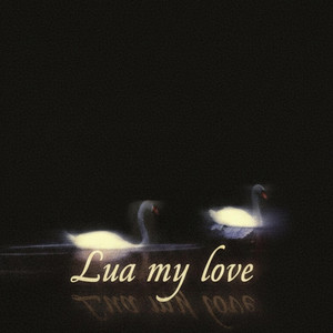 Danteviu$$ - Lua My Love