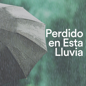 Perdido en Esta Lluvia album