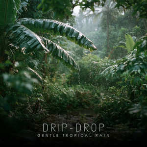 Gentle Tropical Rain by Drip-Drop Album Cover