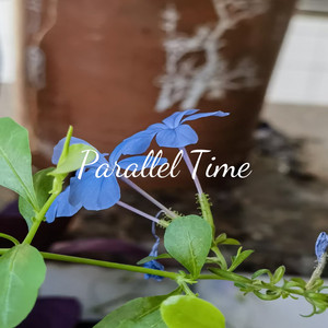 Parallel Time