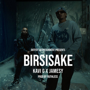 Birsisake