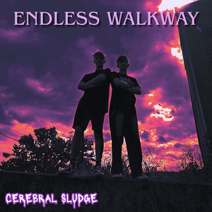 Static Neurons by Cerebral Sludge