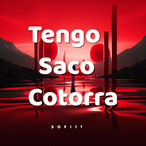 Tengo Saco Cotorra by sofi11