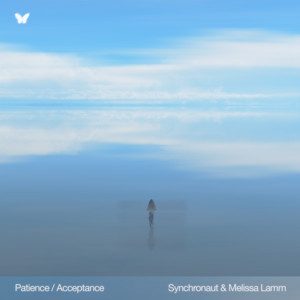 Acceptance by Synchronaut