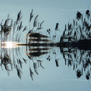 Portada de Mists Inside