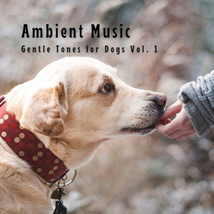 Ambient Music: Gentle Tones for Dogs Vol. 1 album
