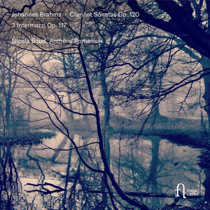 Brahms: Clarinet Sonata No. 1, Op. 120 No. 1: II. Andante un poco adagio — Johannes Brahms