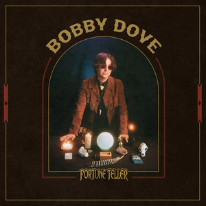 Loose Screws by Bobby Dove