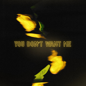 You Don't Want Me by Arthon