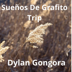 Yaraví De Luna Andean by Dylan Gongora