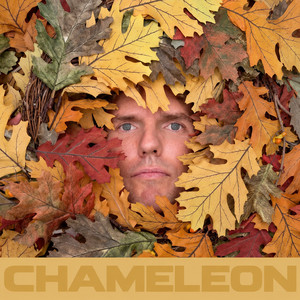 Chameleon by Joey Gutos