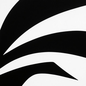 Dana Turczyn - Ballistic Gel