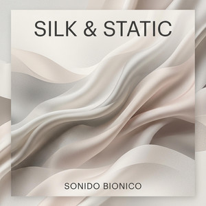 Silk & Static by Sonido Bionico