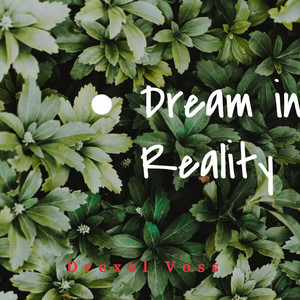 Dream in Reality by Drexel Voss