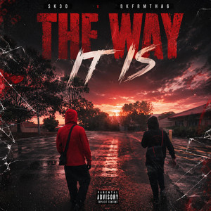 The Way It Is by SK30, Bkfrmtha6