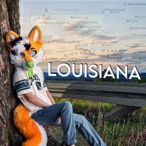 Louisiana by Scrubb