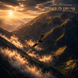מי יתן לי כנפיים by Sagi Bar El