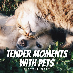 Ambient Rain: Tender Moments with Pets album