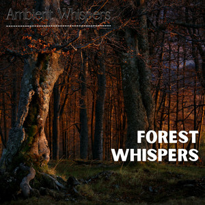 Ambient Whispers - Too Late (Forest Sounds)