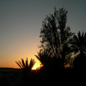 Asim Alfahed - Alshoroq