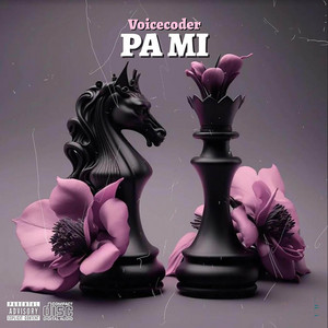 Pa Mi (Voicecoder) by 2 Face Prod