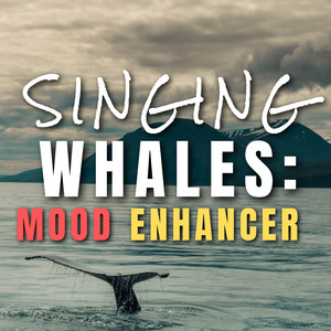 Singing Whales: Mood Enhancer album