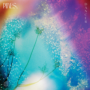 Masaola by PINES