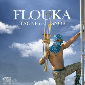 Portada de FLOUKA