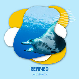 zZz Refined Laidback Ocean Noises zZz album