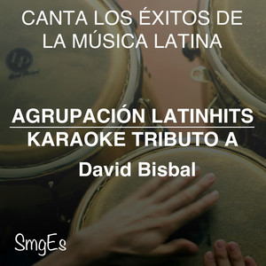 Karaoke: David Bisbal 1 - Latin Stars Karaoke(中古品) Instrumental Karaoke Series: David Bisbal - Álbum de Agrupacion